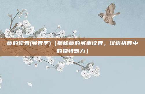 藏的读音(多音字)（揭秘藏的多重读音，汉语拼音中的独特魅力）