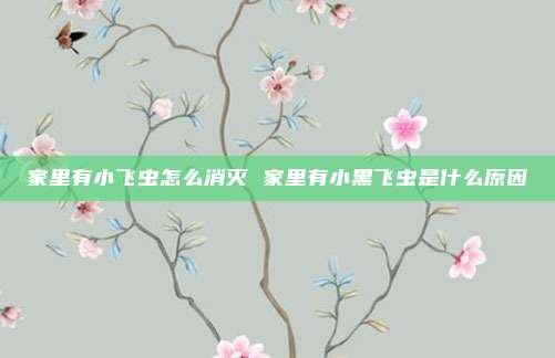 家里有小飞虫怎么消灭 家里有小黑飞虫是什么原因