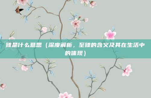 臻是什么意思（深度解析，至臻的含义及其在生活中的体现）