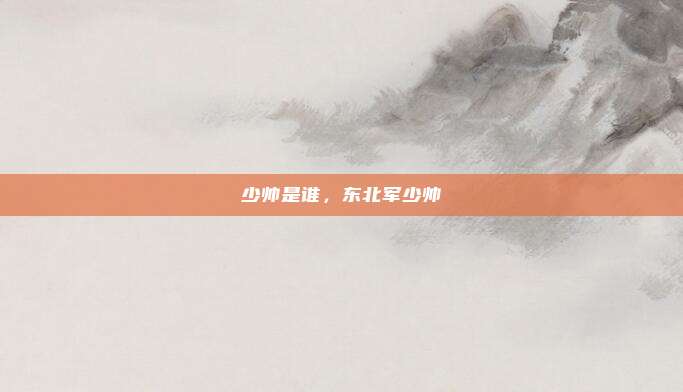 少帅是谁,东北军少帅