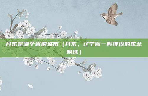 丹东是哪个省的城市（丹东，辽宁省一颗璀璨的东北明珠）
