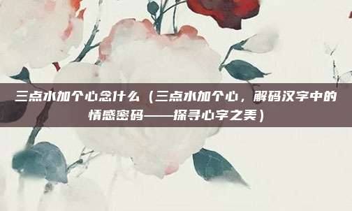 三点水加个心念什么（三点水加个心，解码汉字中的情感密码——探寻心字之美）