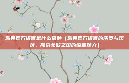 瑞典官方语言是什么语种(瑞典官方语言的演变与现状,探索北欧之国的语言魅力)