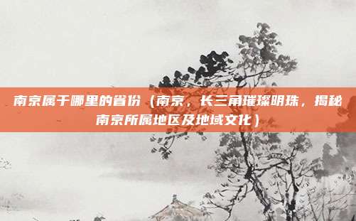 南京属于哪里的省份（南京，长三角璀璨明珠，揭秘南京所属地区及地域文化）