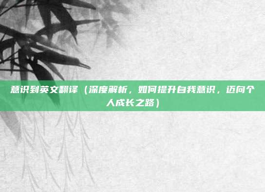 意识到英文翻译（深度解析，如何提升自我意识，迈向个人成长之路）