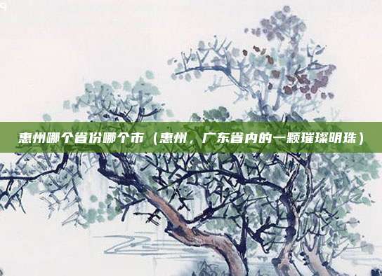 惠州哪个省份哪个市（惠州，广东省内的一颗璀璨明珠）