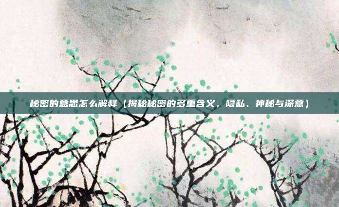 秘密的意思怎么解释（揭秘秘密的多重含义，隐私、神秘与深意）