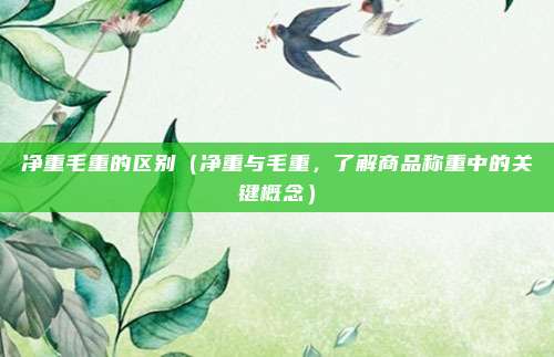净重毛重的区别（净重与毛重，了解商品称重中的关键概念）