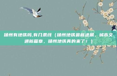 扬州有地铁吗,有几条线(扬州地铁最新进展,城市交通新篇章,扬州地铁真的来了!)