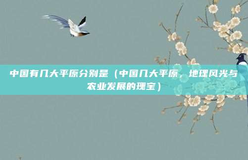中国有几大平原分别是（中国几大平原，地理风光与农业发展的瑰宝）