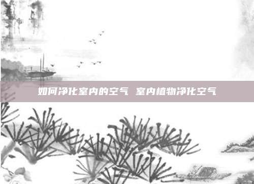 如何净化室内的空气 室内植物净化空气