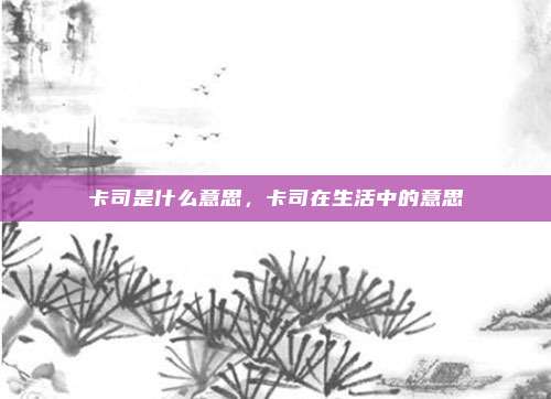 卡司是什么意思,卡司在生活中的意思