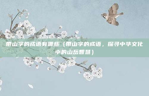 带山字的成语有哪些（带山字的成语，探寻中华文化中的山岳智慧）