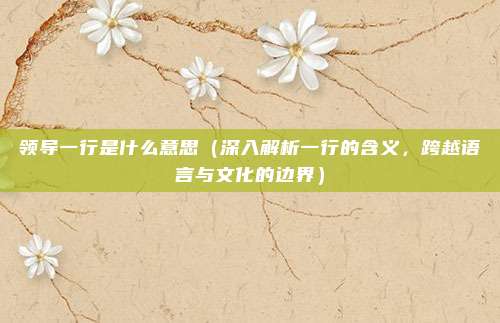 领导一行是什么意思（深入解析一行的含义，跨越语言与文化的边界）