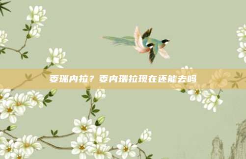委瑞内拉?委内瑞拉现在还能去吗