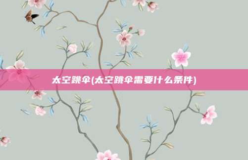 太空跳伞(太空跳伞需要什么条件)