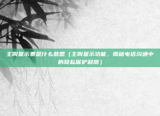 主叫显示费是什么意思(主叫显示功能,揭秘电话沟通中的隐私保护利器)