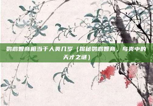 鹦鹉智商相当于人类几岁(揭秘鹦鹉智商,鸟类中的天才之谜)