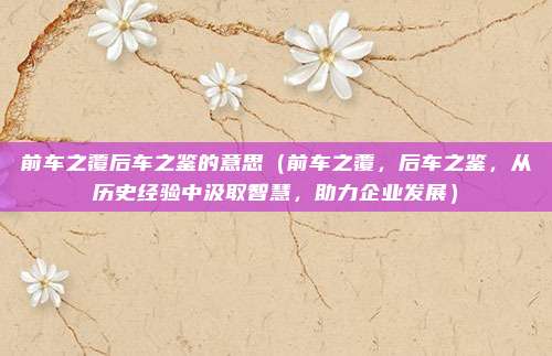 前车之覆后车之鉴的意思(前车之覆,后车之鉴,从历史经验中汲取智慧,助力企业发展)