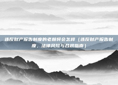 违反财产报告制度的老赖将会怎样(违反财产报告制度,法律风险与合规指南)