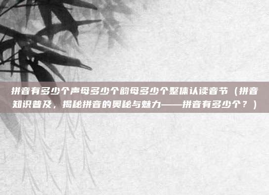 拼音有多少个声母多少个韵母多少个整体认读音节(拼音知识普及,揭秘拼音的奥秘与魅力——拼音有多少个?)