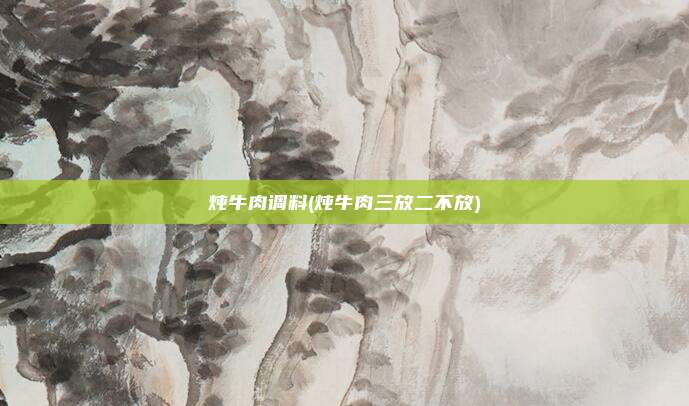 炖牛肉调料(炖牛肉三放二不放)