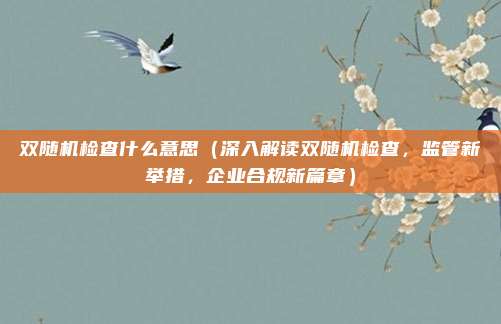 双随机检查什么意思（深入解读双随机检查，监管新举措，企业合规新篇章）
