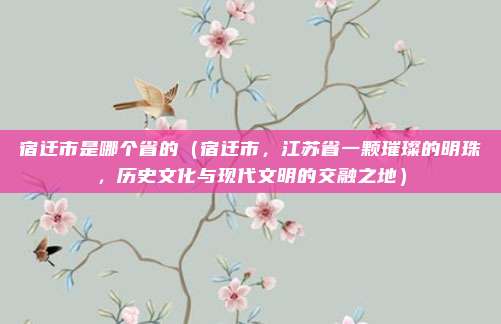 宿迁市是哪个省的(宿迁市,江苏省一颗璀璨的明珠,历史文化与现代文明的交融之地)