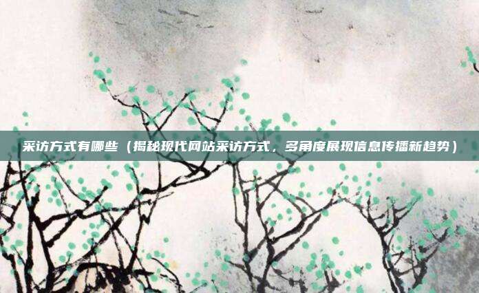 采访方式有哪些(揭秘现代网站采访方式,多角度展现信息传播新趋势)
