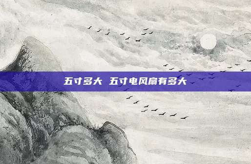 五寸多大 五寸电风扇有多大