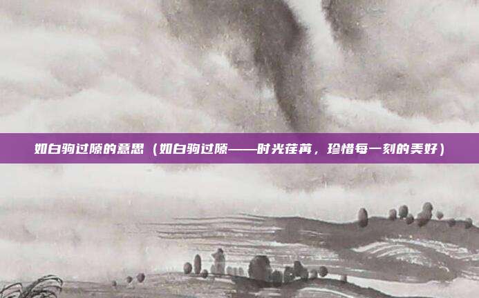 如白驹过隙的意思(如白驹过隙——时光荏苒,珍惜每一刻的美好)