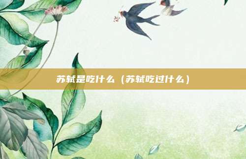 苏轼是吃什么（苏轼吃过什么）