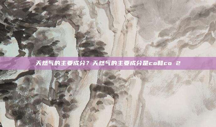 天然气的主要成分?天然气的主要成分是co和co 2