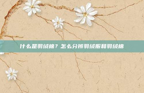 什么是羽绒棉?怎么分辨羽绒服和羽绒棉