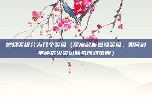 燃烧等级分为几个等级(深度解析燃烧等级,如何科学评估火灾风险与应对策略)