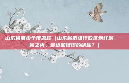 山东省多少个市名称(山东省市级行政区划详解,一省之内,多少颗璀璨的明珠?)
