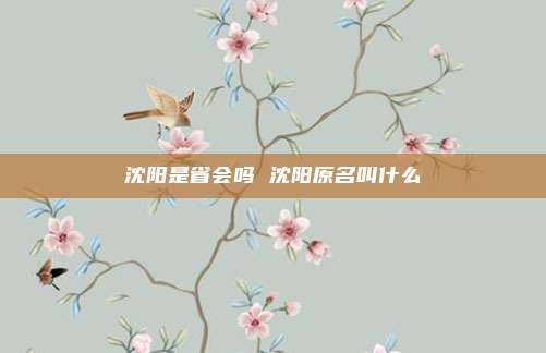 沈阳是省会吗 沈阳原名叫什么