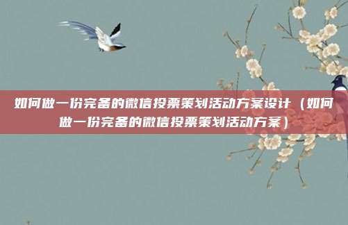 如何做一份完备的微信投票策划活动方案设计（如何做一份完备的微信投票策划活动方案）