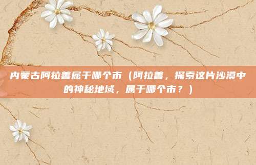 内蒙古阿拉善属于哪个市(阿拉善,探索这片沙漠中的神秘地域,属于哪个市?)