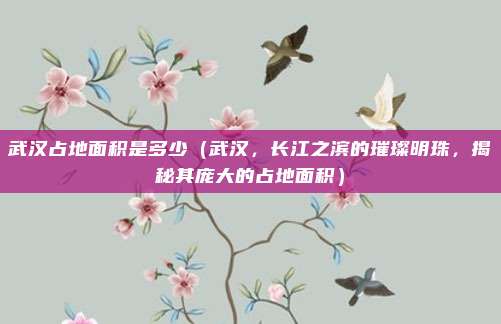 武汉占地面积是多少(武汉,长江之滨的璀璨明珠,揭秘其庞大的占地面积)