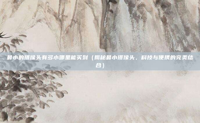 最小的摄像头有多小哪里能买到(揭秘最小摄像头,科技与便携的完美结合)