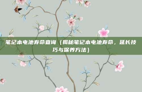 笔记本电池寿命查询(揭秘笔记本电池寿命,延长技巧与保养方法)