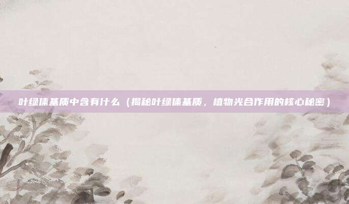 叶绿体基质中含有什么(揭秘叶绿体基质,植物光合作用的核心秘密)