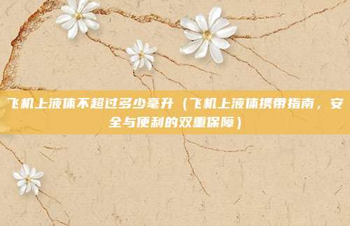 飞机上液体不超过多少毫升(飞机上液体携带指南,安全与便利的双重保障)