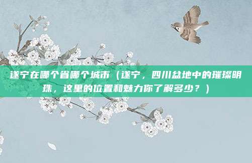 遂宁在哪个省哪个城市(遂宁,四川盆地中的璀璨明珠,这里的位置和魅力你了解多少?)
