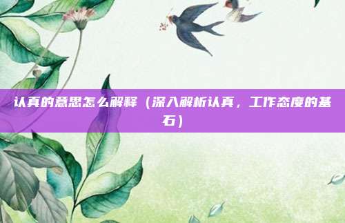 认真的意思怎么解释(深入解析认真,工作态度的基石)