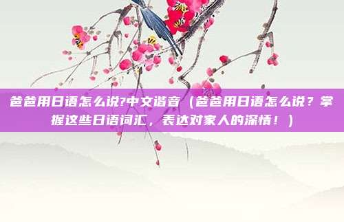 爸爸用日语怎么说?中文谐音(爸爸用日语怎么说?掌握这些日语词汇,表达对家人的深情!)
