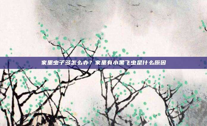 家里虫子多怎么办？家里有小黑飞虫是什么原因