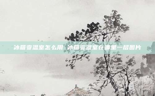 冰箱变温室怎么用 冰箱变温室在哪里一层图片