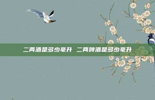 二两酒是多少毫升 二两啤酒是多少毫升